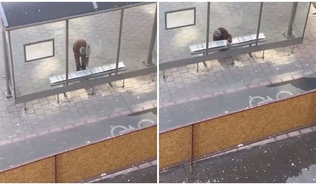 Yolcular üşümesin diye durağa halı serdi