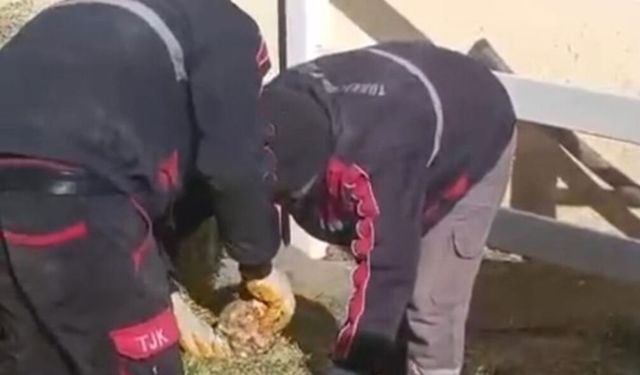 TJK İstasyonu'nda skandal görüntüler