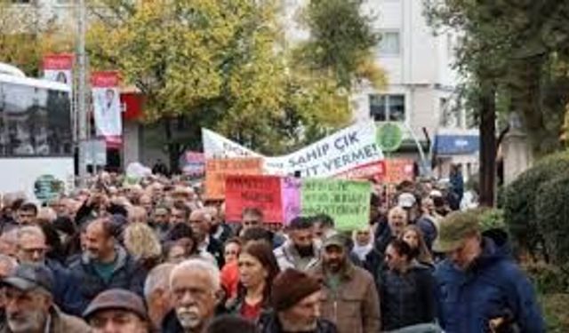 Doğa ve yaşam mitinginde müzik dinletisi