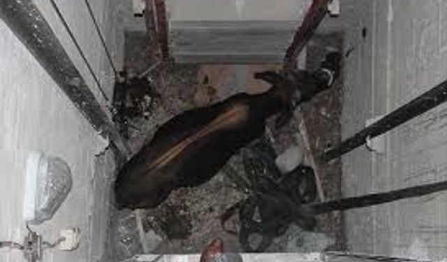 Asansör boşluğuna düşen işçi ağır yaralandı