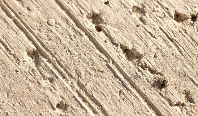 2 milyon siyah çizginin sırrı 50 yılda çözüldü