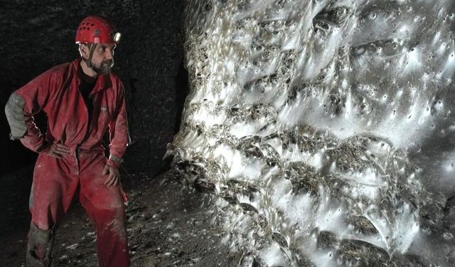 Dünyanın en büyük örümcek ağı bulundu