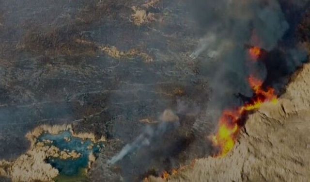 Birçok kuş türüne ev sahipliği yapan Çırak Sazlığı’nda yangın