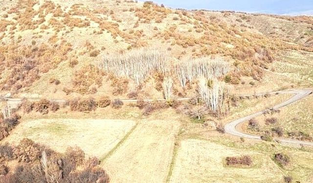 Bingöl'de köy halkı bazalt ocağına karşı ayakta