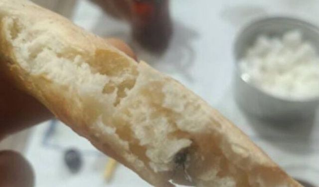 Ekmeğin içinden sinek çıktı