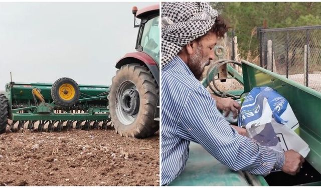 Mardin'de yerli tohum üretimi