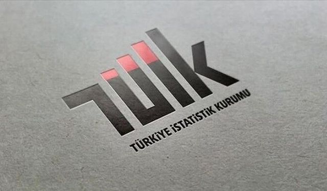TÜİK: Kasım enflasyonu yüzde 31,07