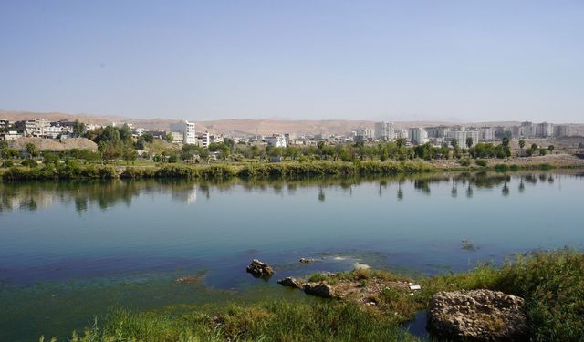 Görkemli Dicle Nehri'nin izini süren 2 kadın