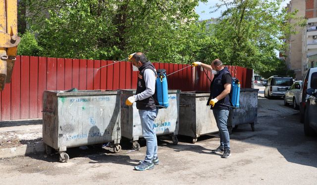 Diyarbakır’da belediye açıkladı; Mücadele sürüyor