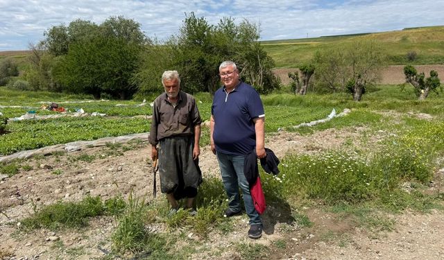 “260 TL’lik tütün fiyatı çiftçiyi yıkıma sürüklüyor”