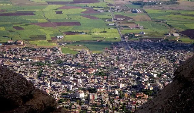 Diyarbakır'da belediye 16 işyerini kiraya verecek