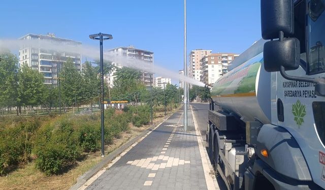 Diyarbakır’da süs bitkileri seyyar araçlarla sulanıyor