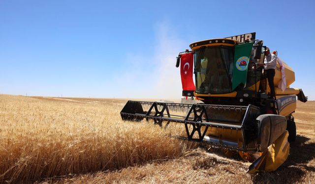 Diyarbakır Sur'da hasat başladı