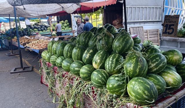 Çift çizgili karpuzların daha tatlı olduğunu biliyor musunuz?