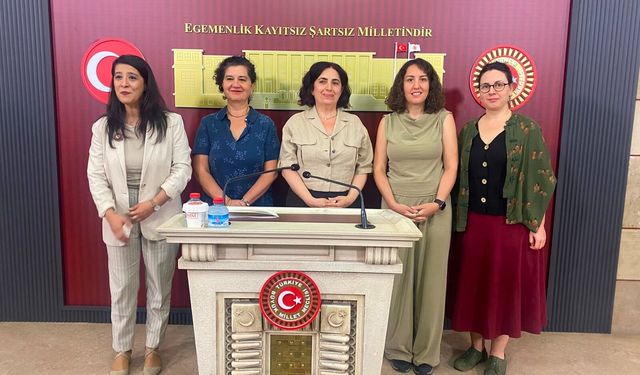 Diyarbakır vekilinden akademisyen kıyımına tepki