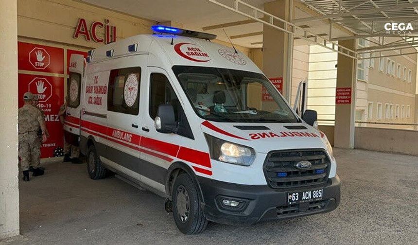 Siverek'te yılanı vurmak isterken ailesini yaraladı