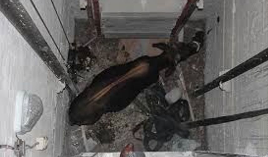 Asansör boşluğuna düşen işçi ağır yaralandı