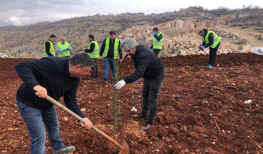 100 bin ton toprak ile 70 dönüm doğaya kazandırıldı