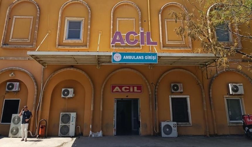 yolun karşısına geçmeye çalışan