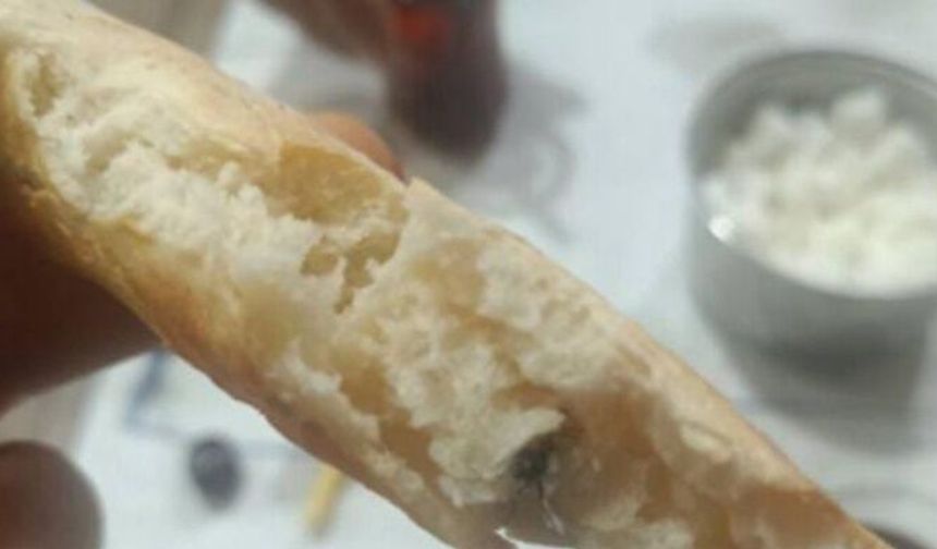Ekmeğin içinden sinek çıktı