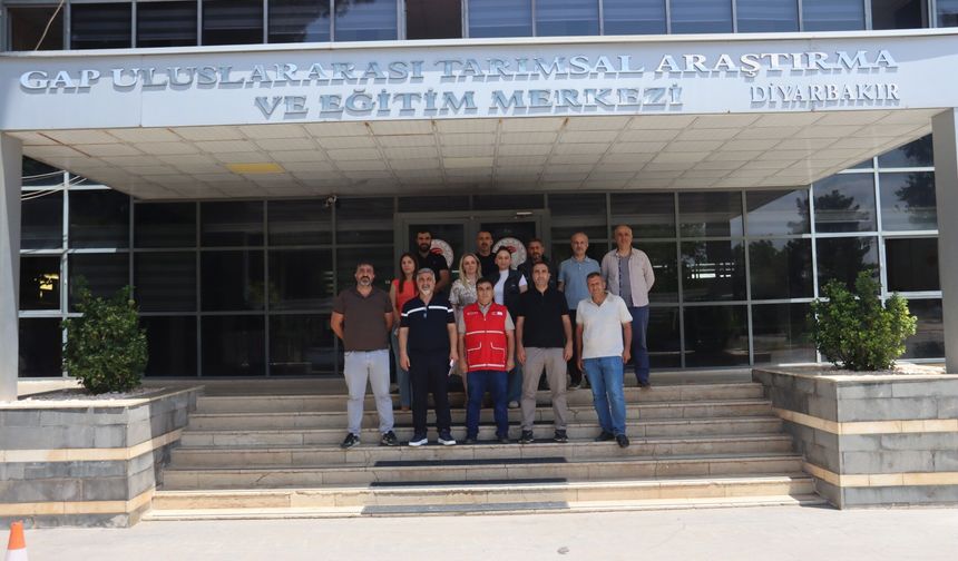 Diyarbakır'da bağcılığı yeniden canlandıracak proje