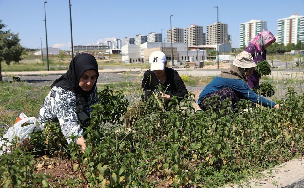 Diyarbakır'da kadınların emeği sonuç verdi