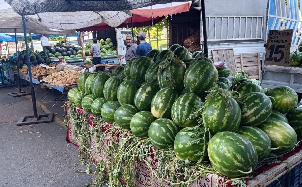 Çift çizgili karpuzların daha tatlı olduğunu biliyor musunuz?
